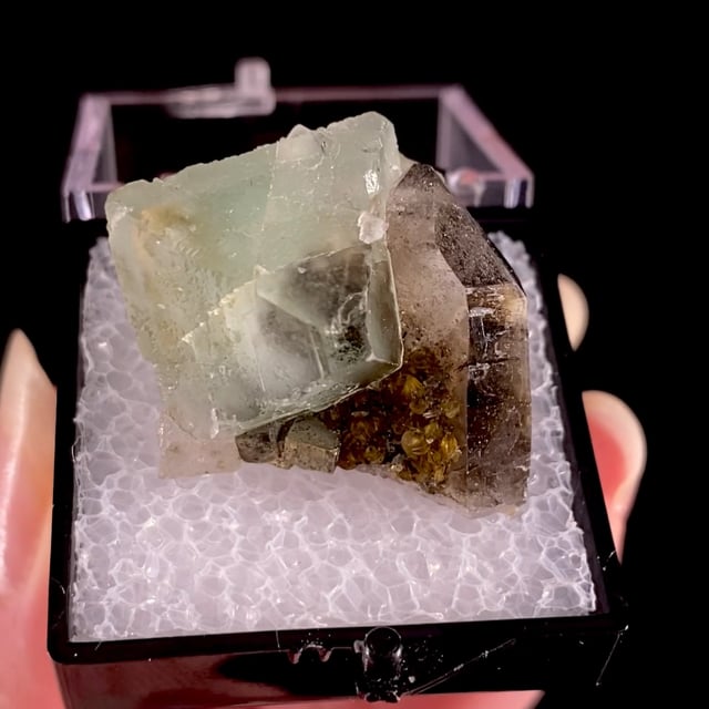 Fluorite (''phantom'' crystal) with Smoky Quartz and Pyrite