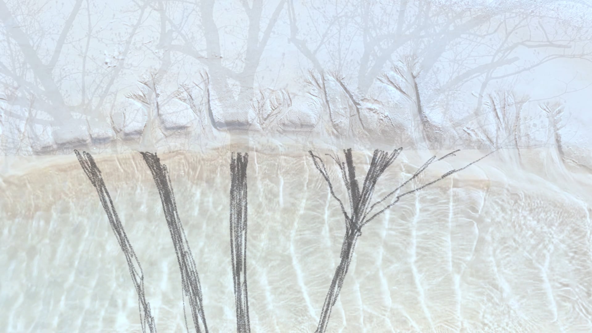 Water-trees