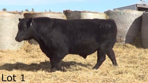 Lot #1 - LL INTERVENTION Z 2189