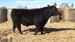 Lot #5 - LL RECKON 2165
