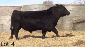 Lot #4 - LL SIDEKICK 2180