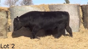 Lot #2 - LL INTERVENTION 2185