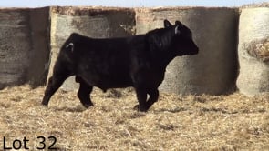 Lot #32 - LL PATHFINDER 380