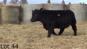 Lot #44 - LEHRKAMP MR GAME ON 3198L