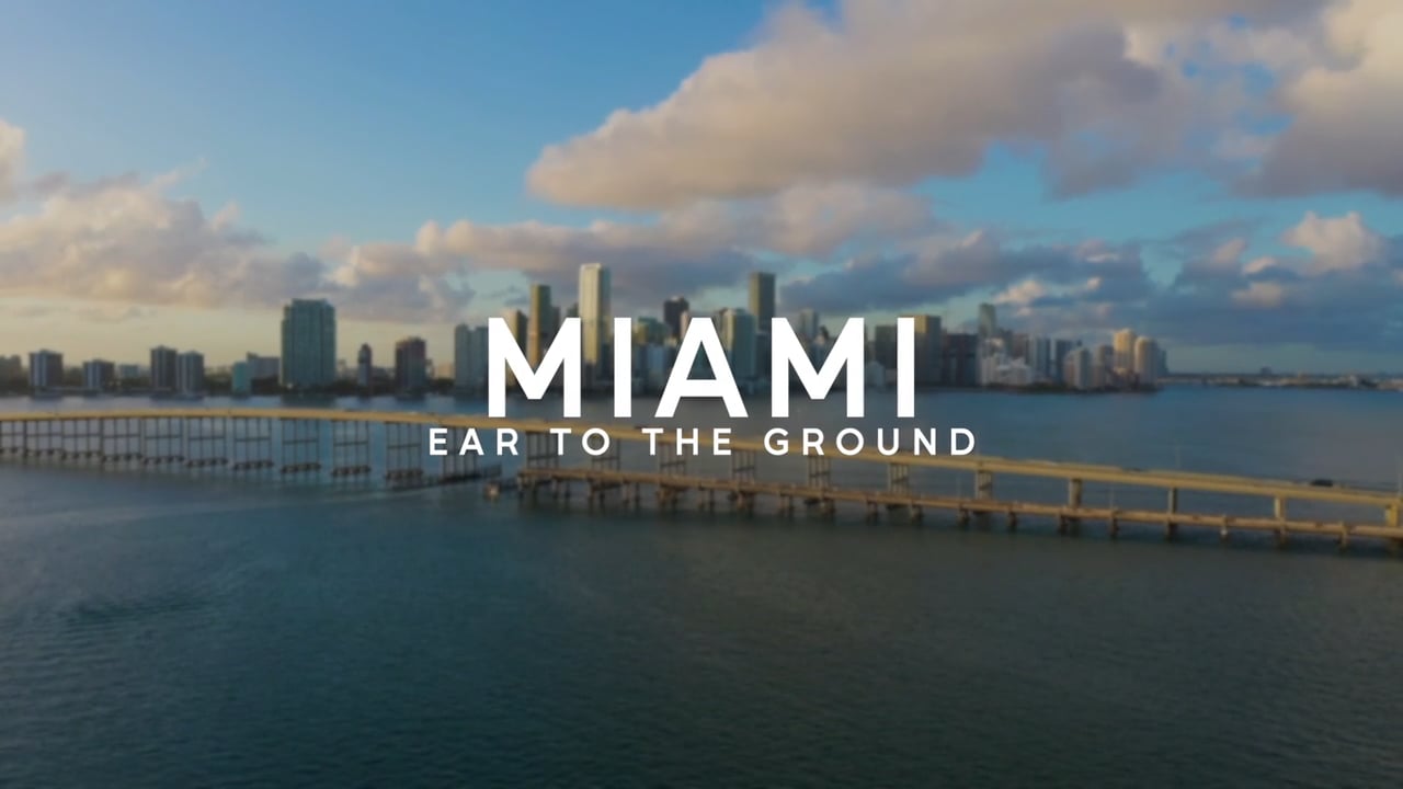 AMP Local: What Miamians Are Saying...