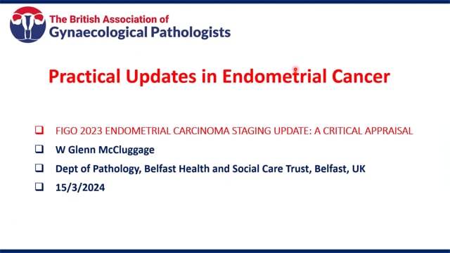 FIGO 2023 endometrial carcinoma staging update – A UK perspective, Prof Glenn McCluggage
