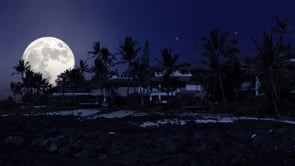 social header