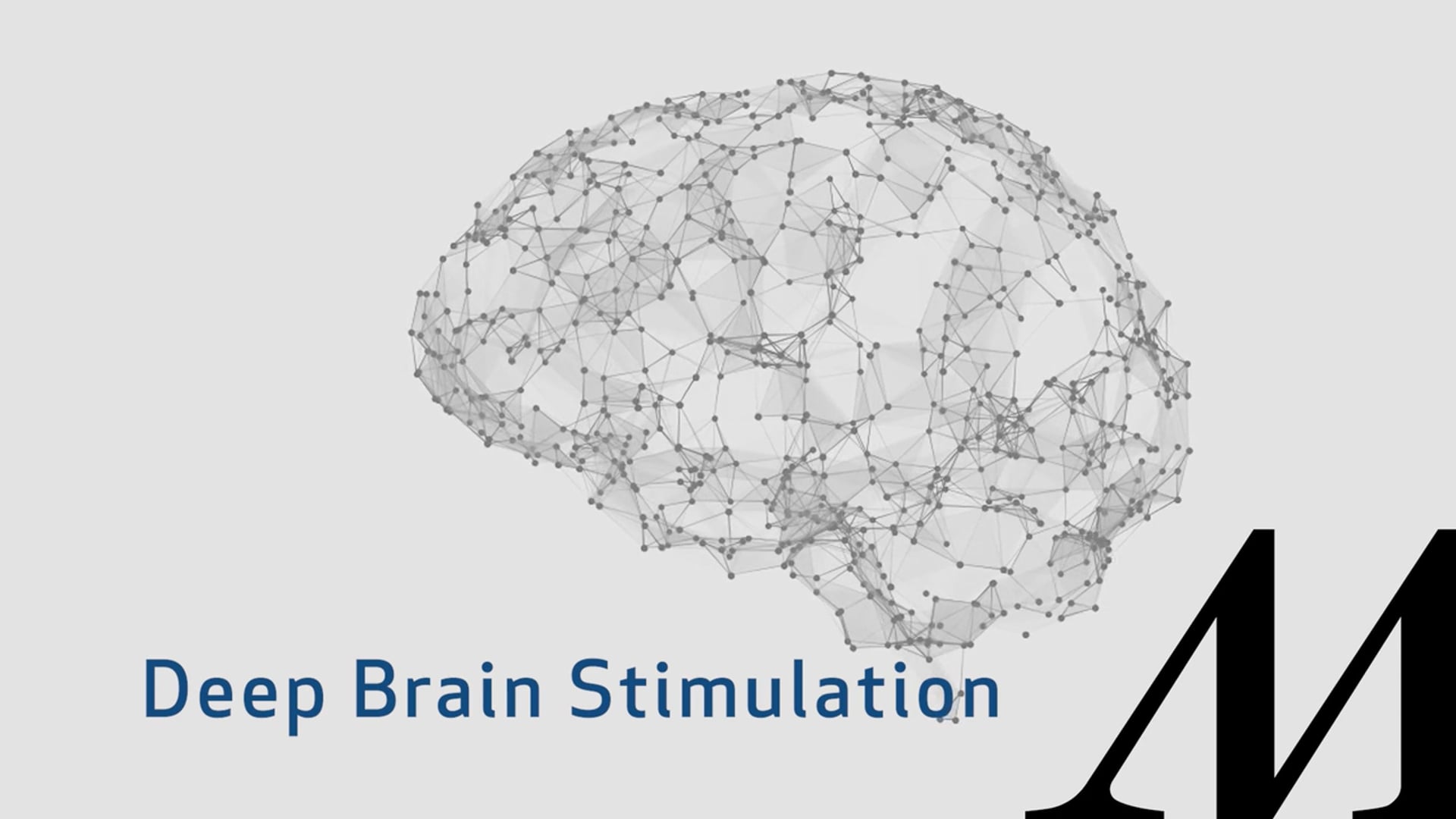 Dr. Amir H. Faraji | English