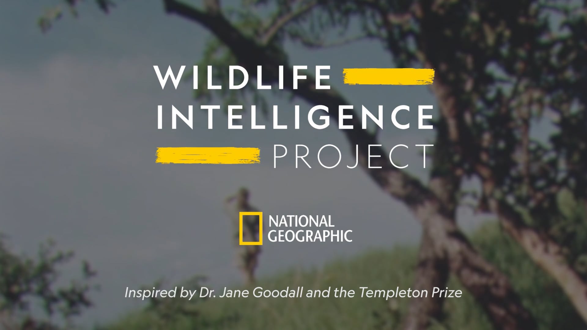 National Geographic. Wildlife Intelligence Project (Co-Editor)