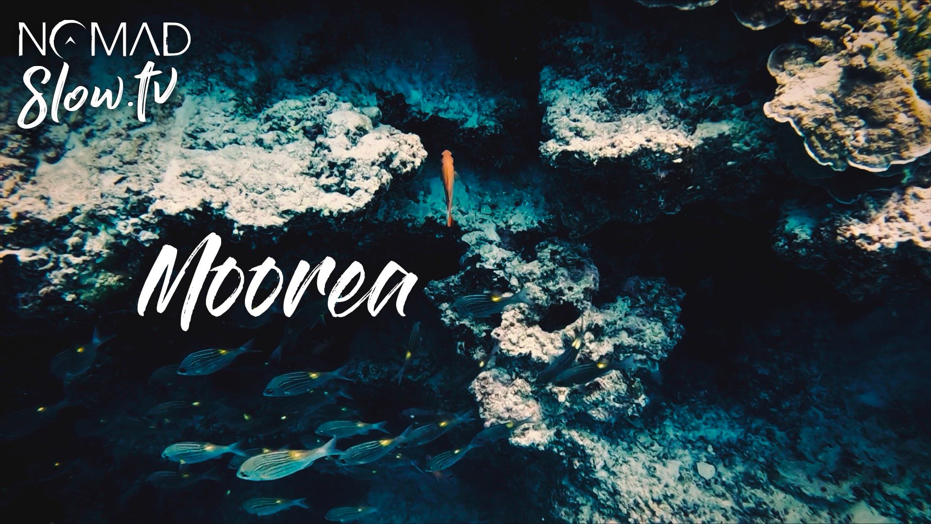 Moorea Ambiance with music by ANTENNAE
