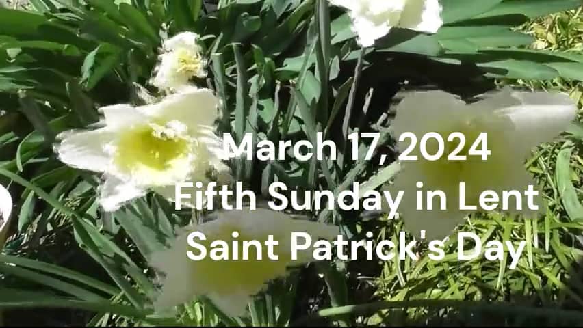 Loch Willow Presbyterian 03-17-2024 on Vimeo