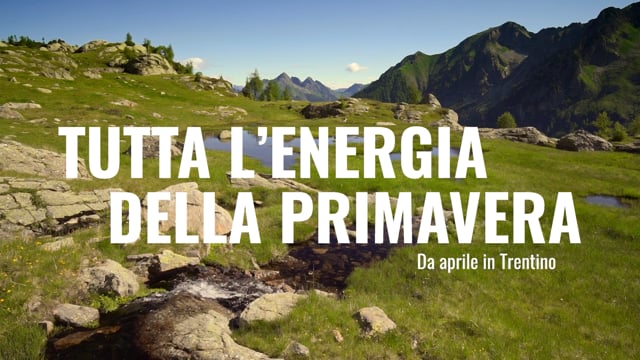 Spot Nicoletta_30"