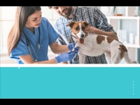 Understanding Animal Care and Welfare