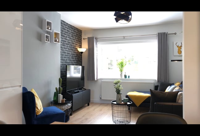 *** Friendly Co-Living *** Main Photo