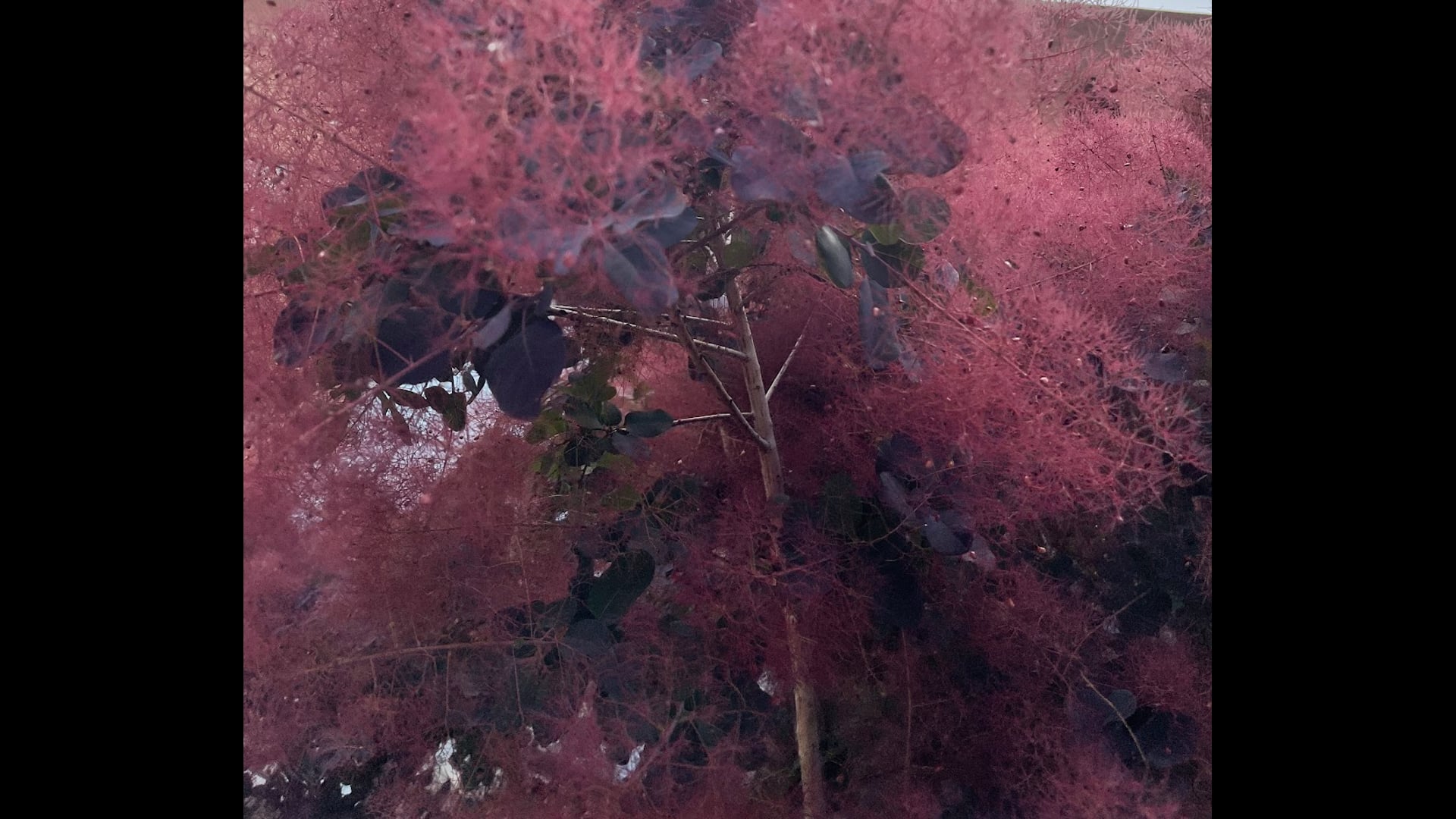 2024 January 03: Loving Kindness and a Generous Heart