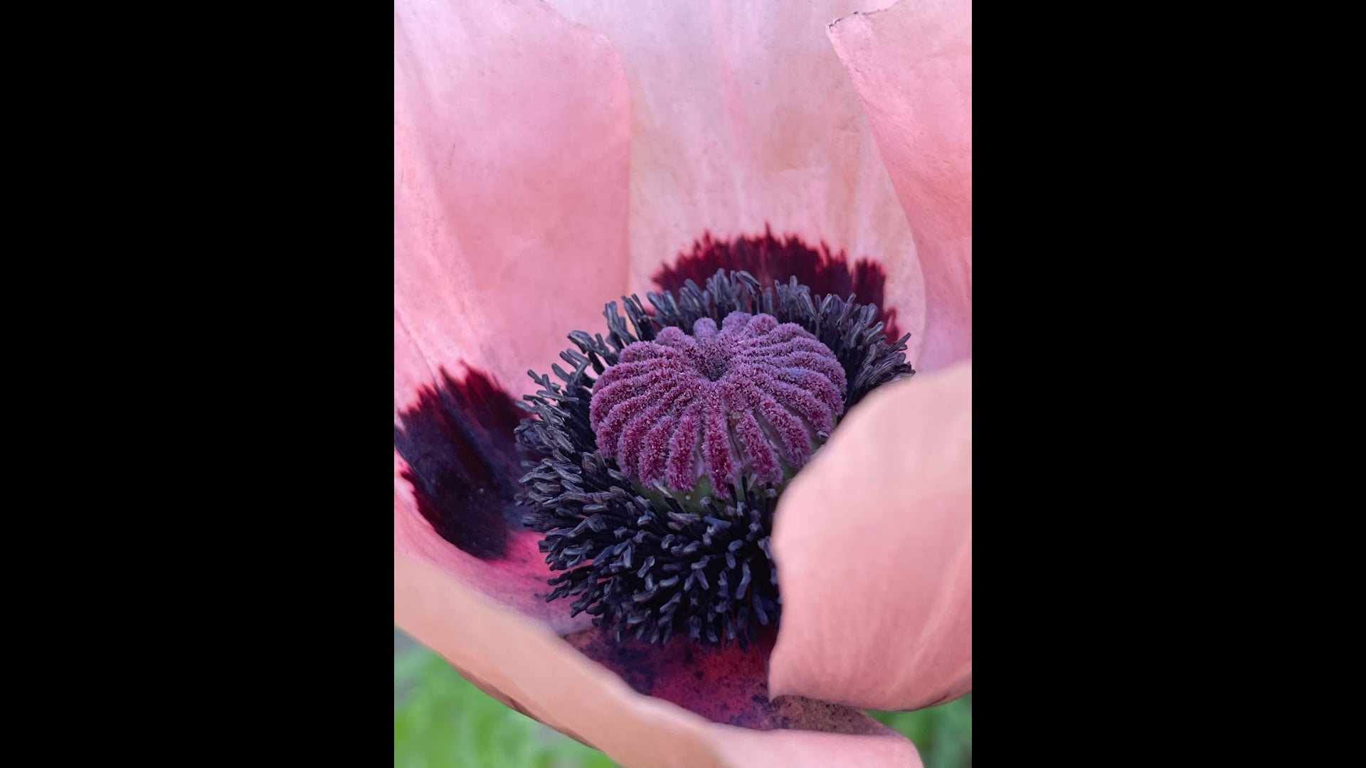 2024 January 10: Equanimity in a Difficult Conversation