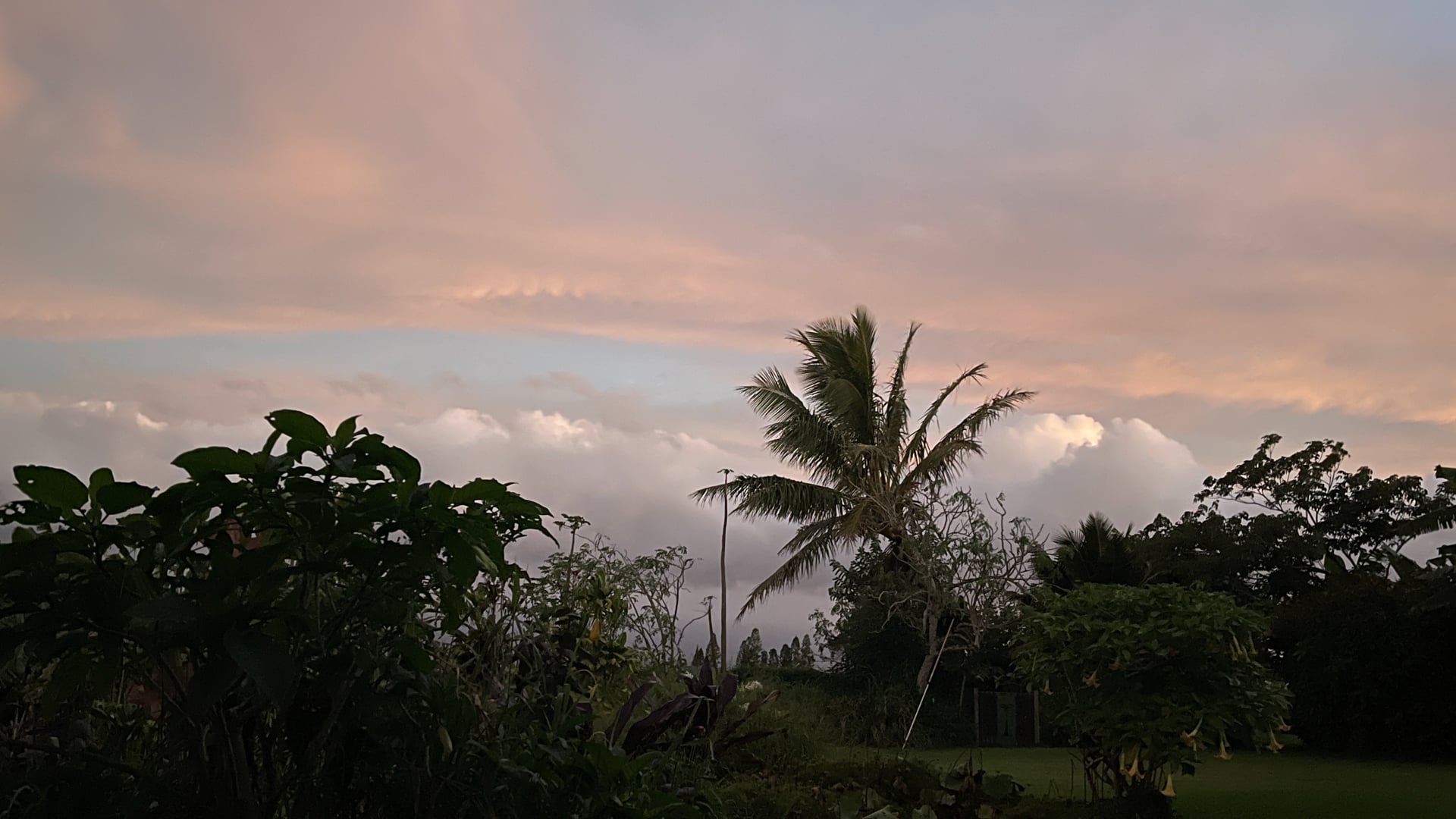 2024 January 29: Working With Grey, Flat and Dull Mind States