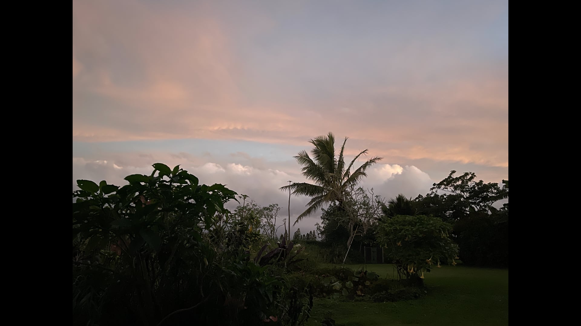 2024 January 29: Working With Grey, Flat and Dull Mind States