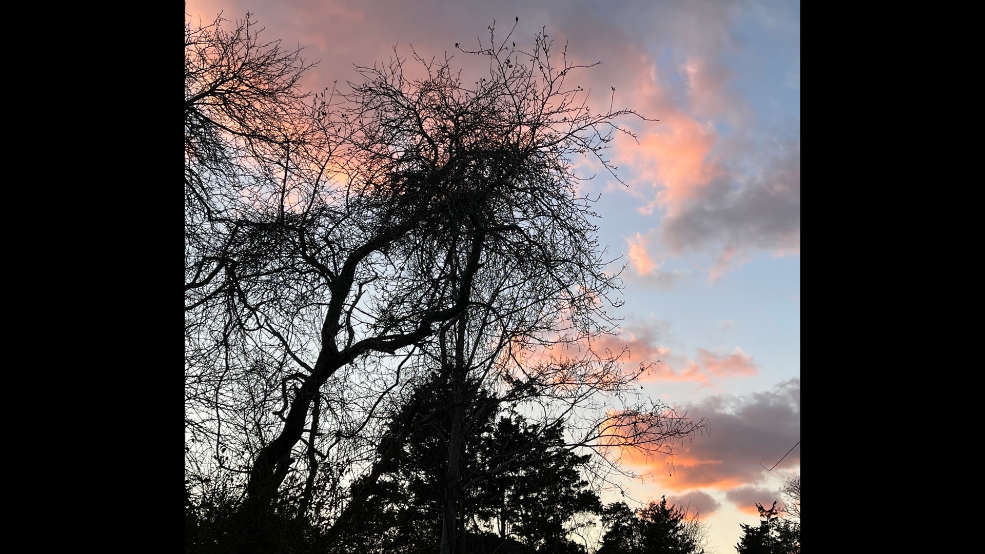 2024 January 24: The Portable Holding Environment