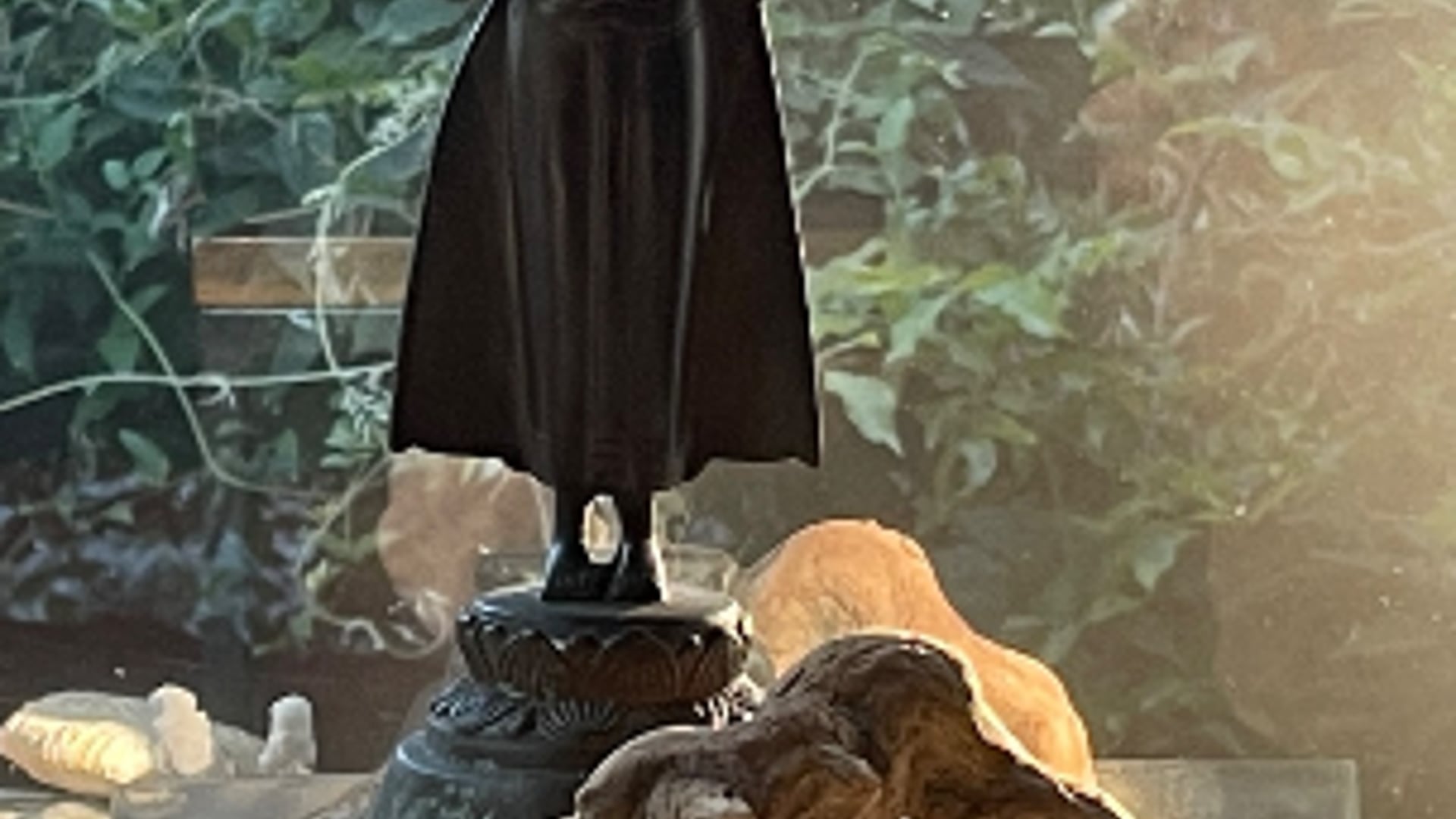 2024 January 31: Gentleness and Strength