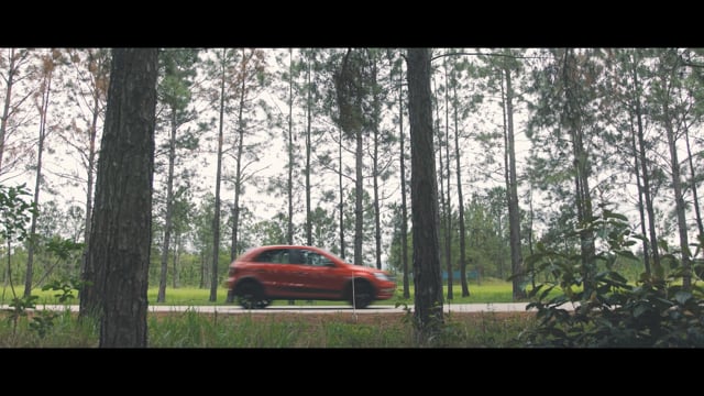 VW Despedida do Gol - Novo Polo Track