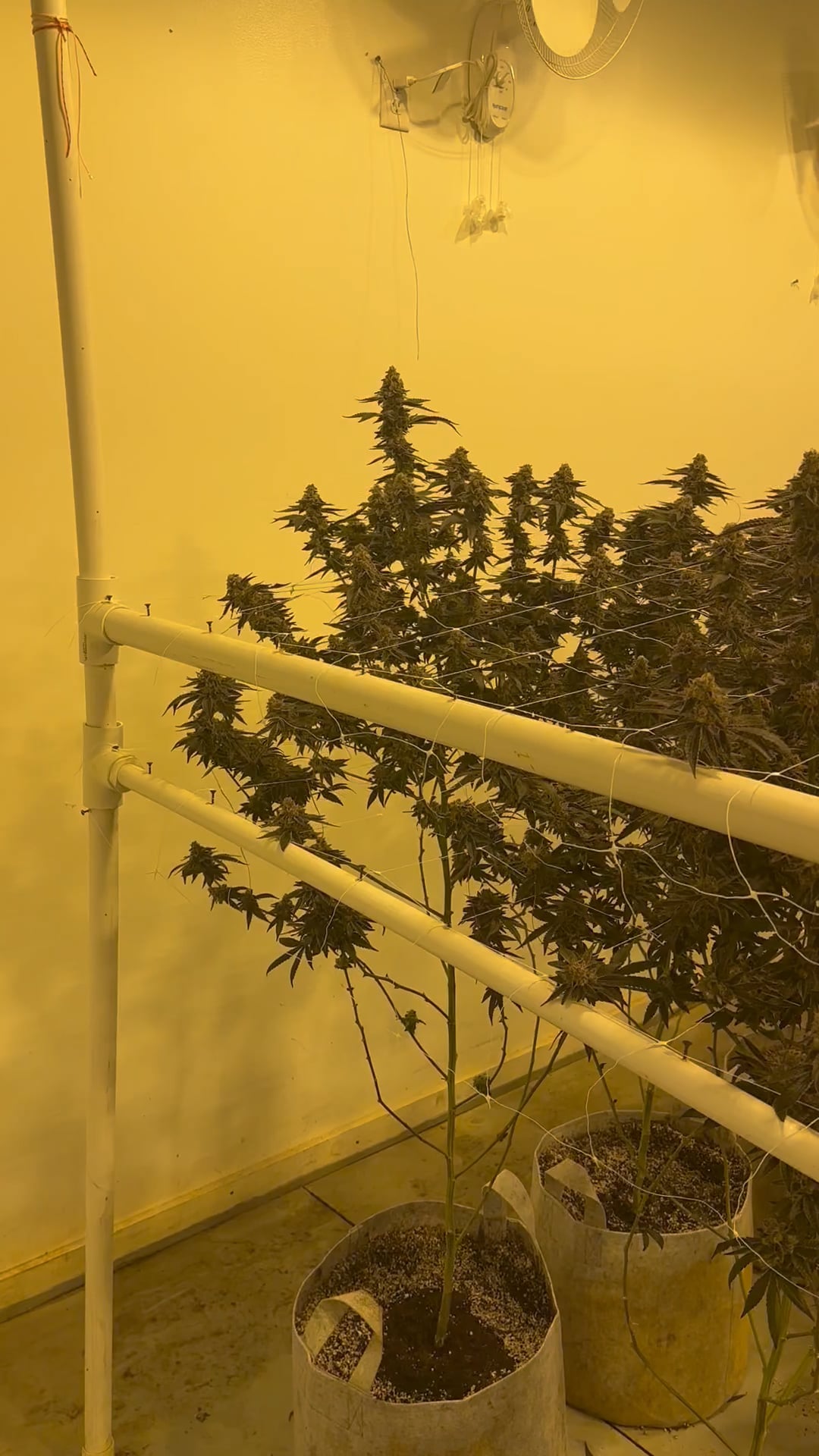 https://i.vimeocdn.com/video/1819108107-eb765a32a03eca2f01e98442fa06777dd34927fd65e03b37ff96cc4a2ebbda77-d