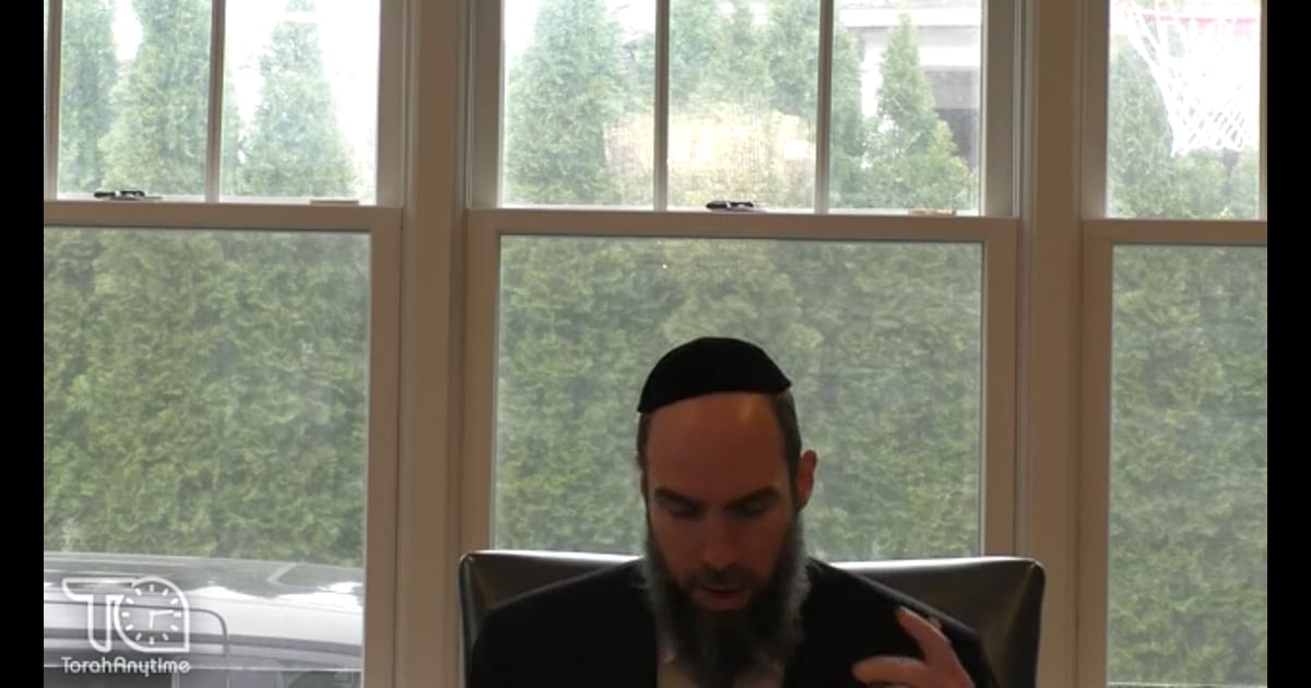 R' Eliezer Krohn Which Utensils Can Be Kashered And How To Do It