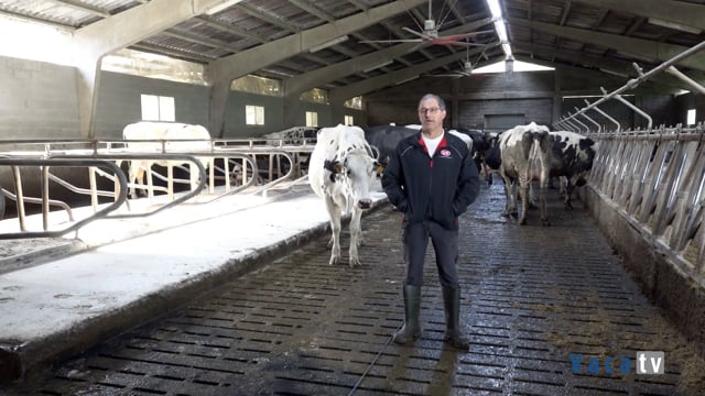 "Con las gomas de Dismagan las vacas caminan más seguras y hay menos accidentes"
