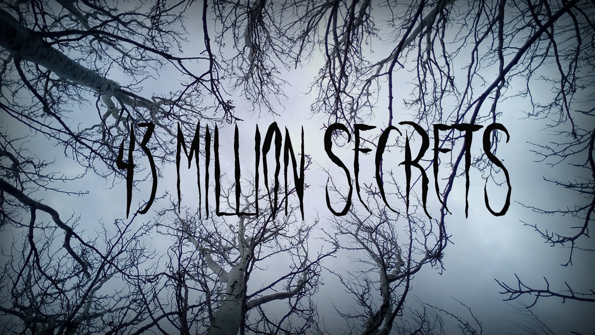 43 Million Secrets (Trailer)