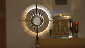 Diocese of Rockford Annual Appeal
