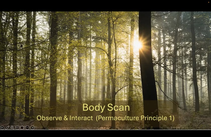 vimeo-video-thumbnail