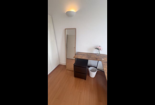 Video 1: