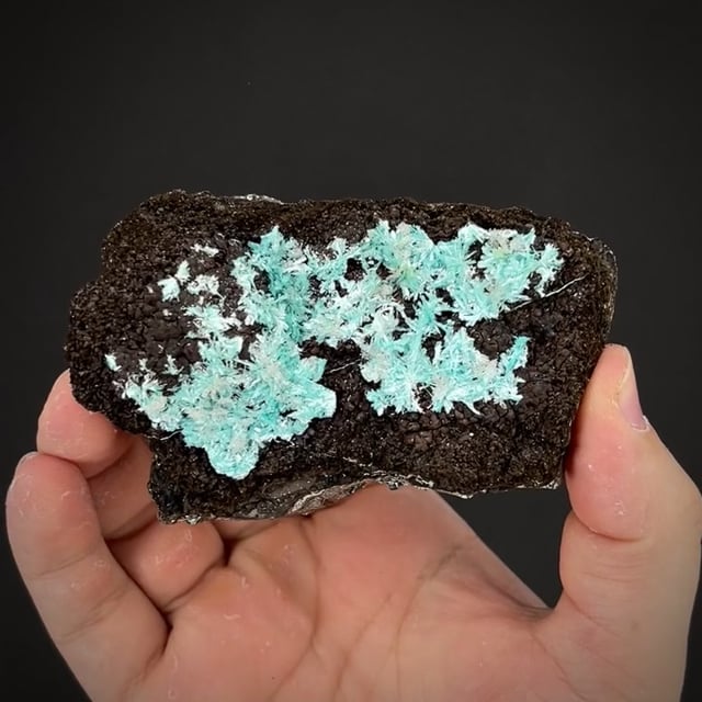 Aurichalcite (excellent Arizona)