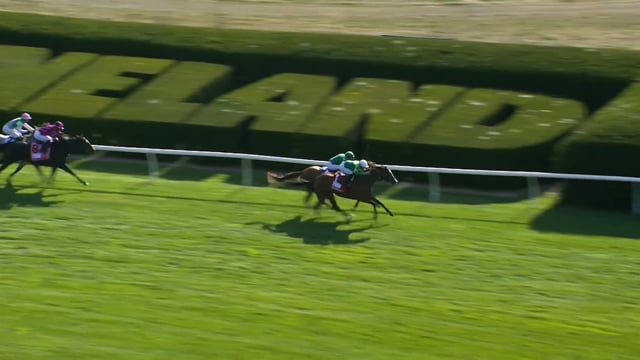 Gina Romantica | 2023 First Lady (G1)