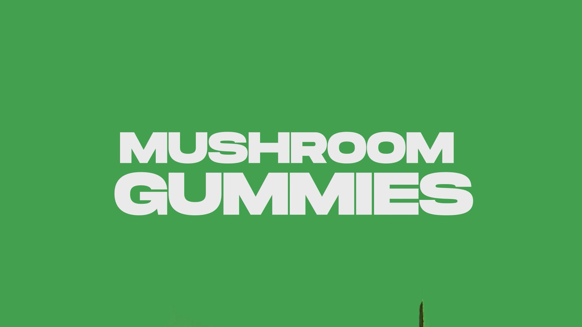 Buy Mushroom Gummies Online Uncle Frog