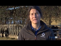 “SenseHub® aporta, sobre todo, la tranquilidad de tener la información de cada animal individual para poder tomar correctas decisiones"