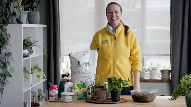 Re-Potting Houseplants & Cuttings + Root Pruning & Fertilizing Tips