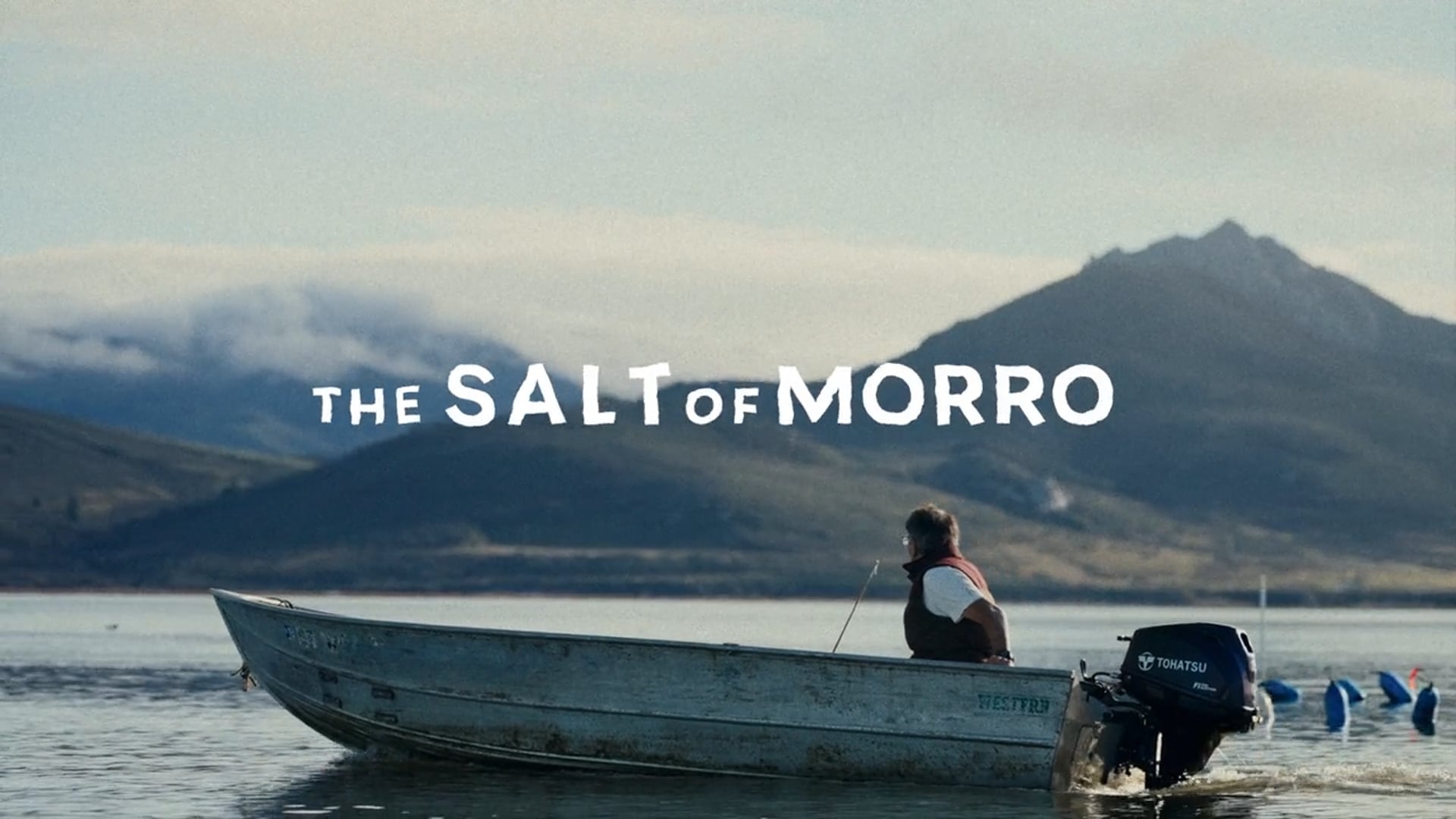 Salt Of Morro