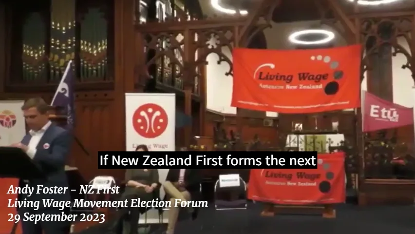 'It's really got to be New Zealand First' - Andy Foster makes Living ...