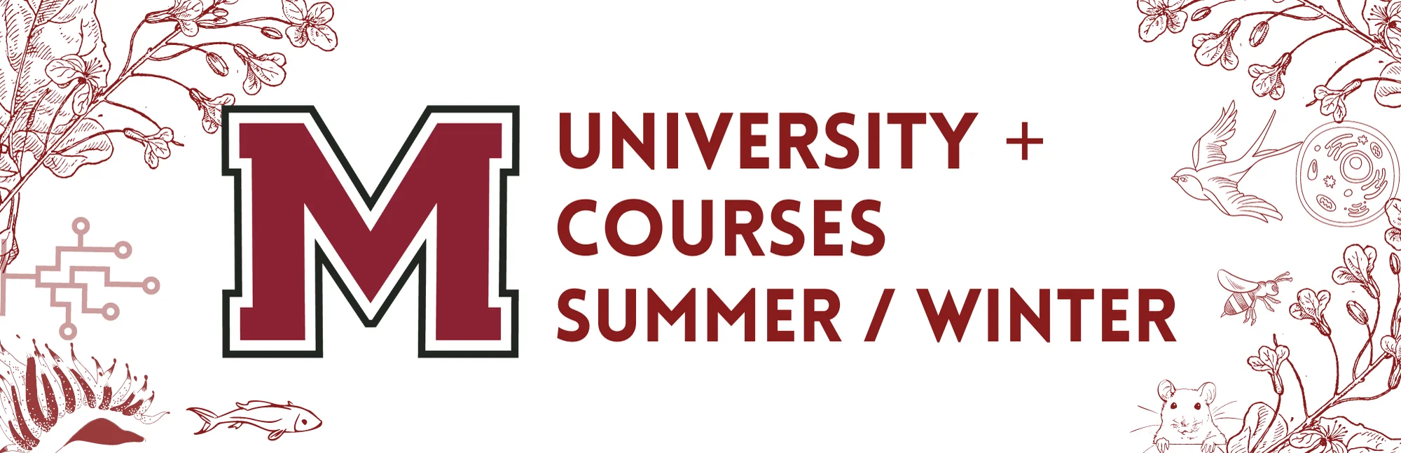 University+ Taking Winter & Summer Courses