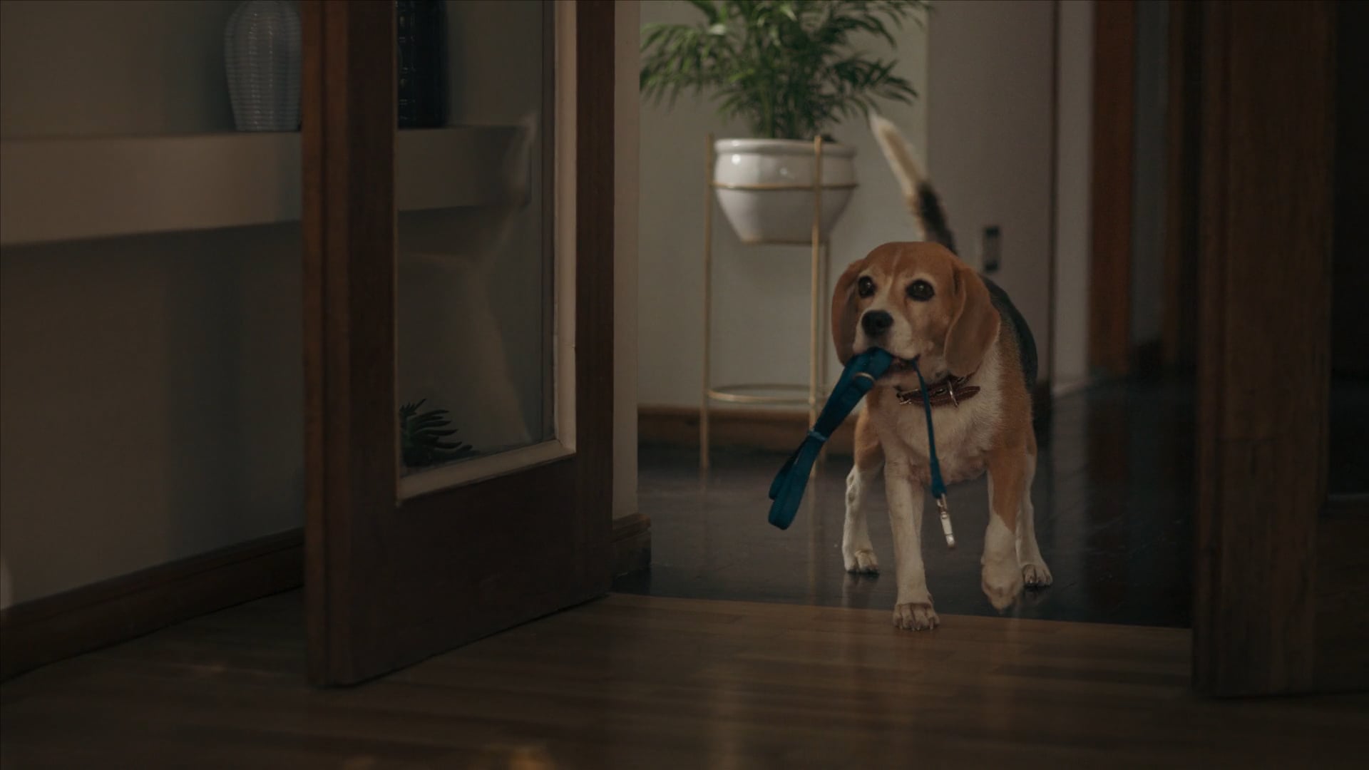 PURINA