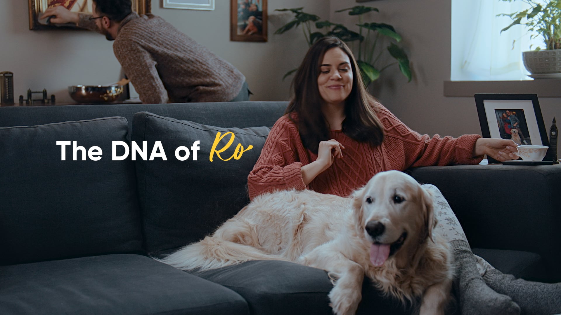 EmbarkVet: The DNA of Royalty