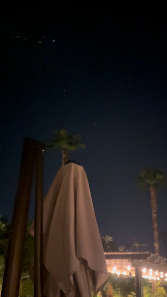 Night sky above palm trees, a closed patio umbrella, and garden lights.