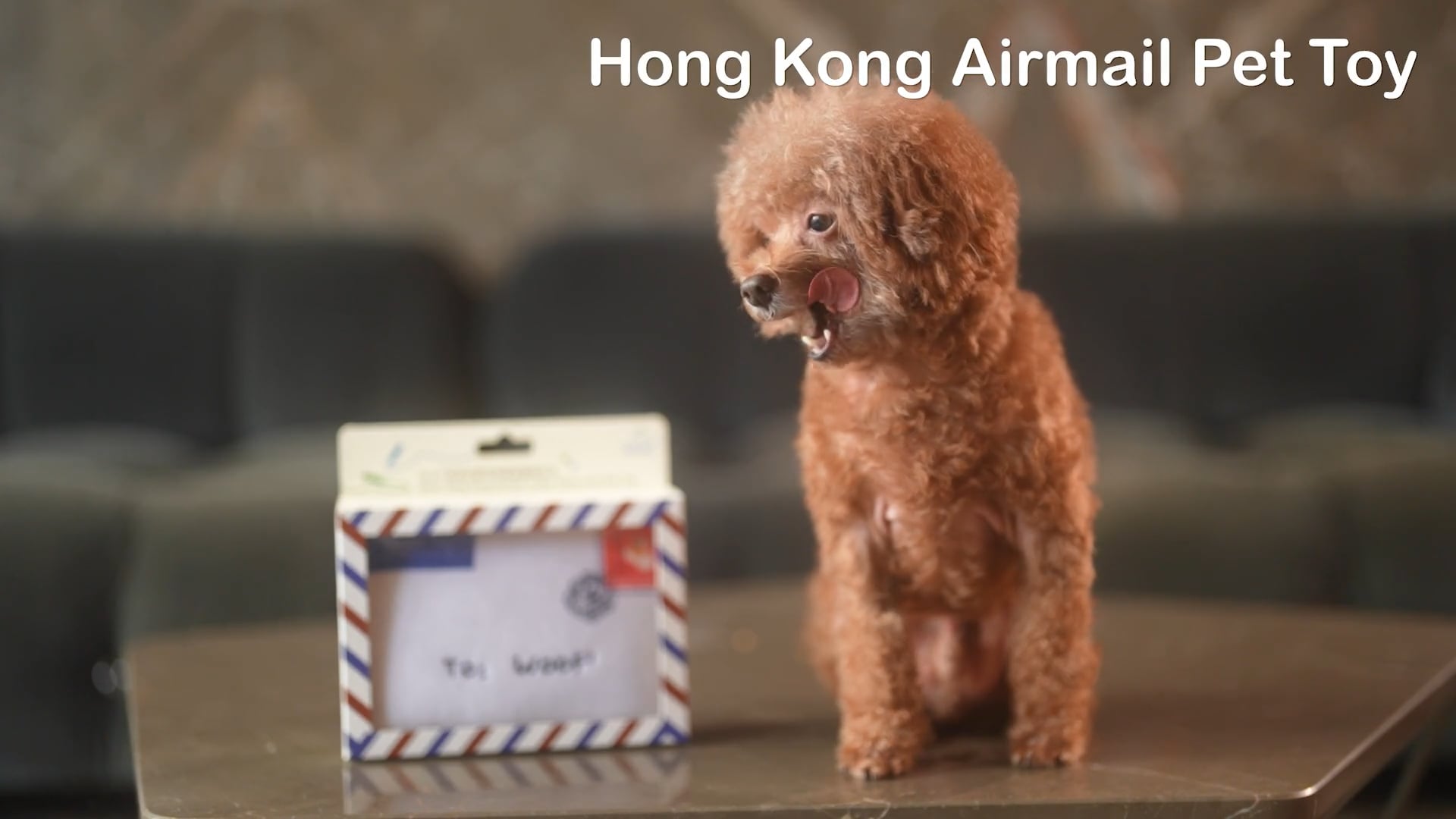 20230904_Hong Kong Airmail Pet Toy