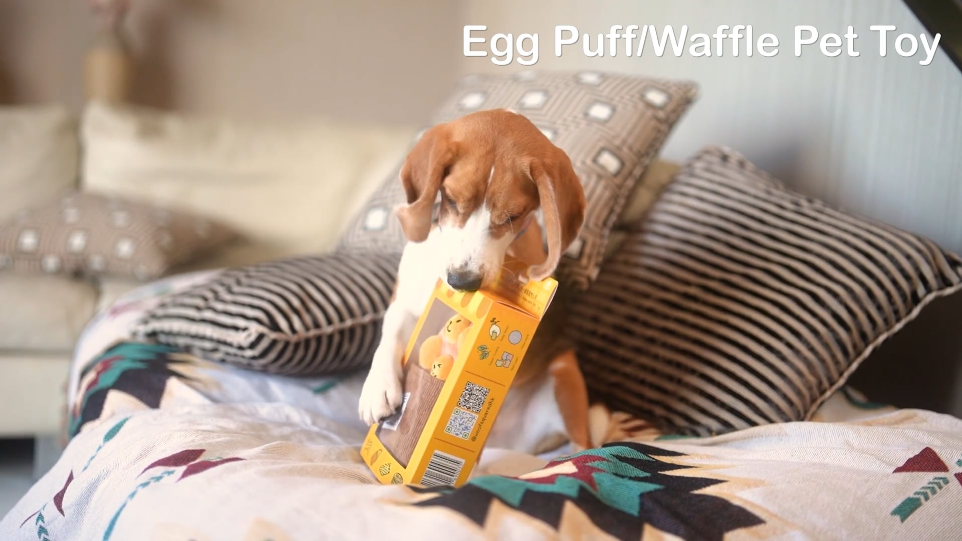 20230904_Egg PuffWaffle Pet Toy