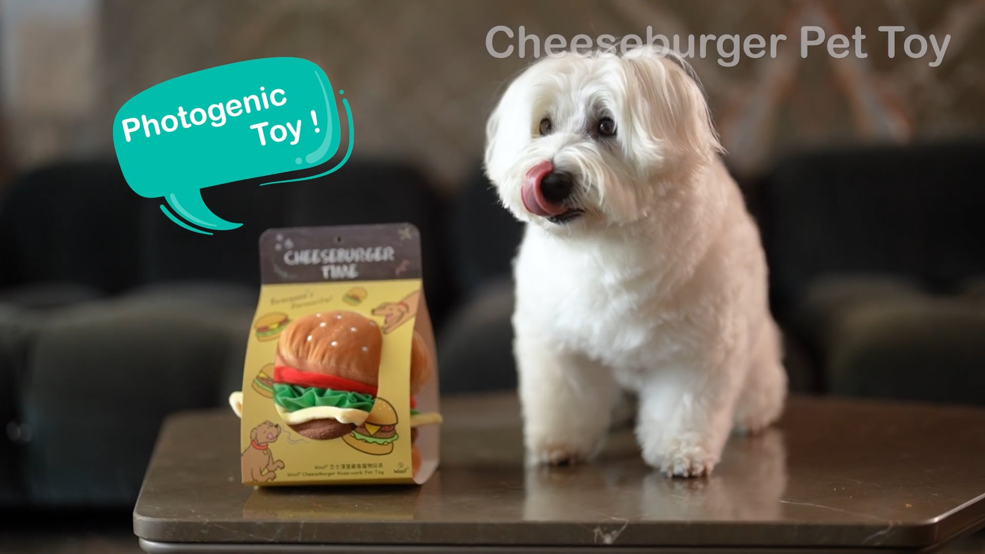 20230904_Cheeseburger Pet Toy