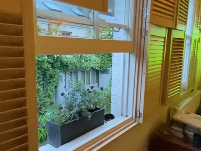 Video 1: every day window view