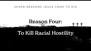 Reason 4: To Kill Racial Hostility