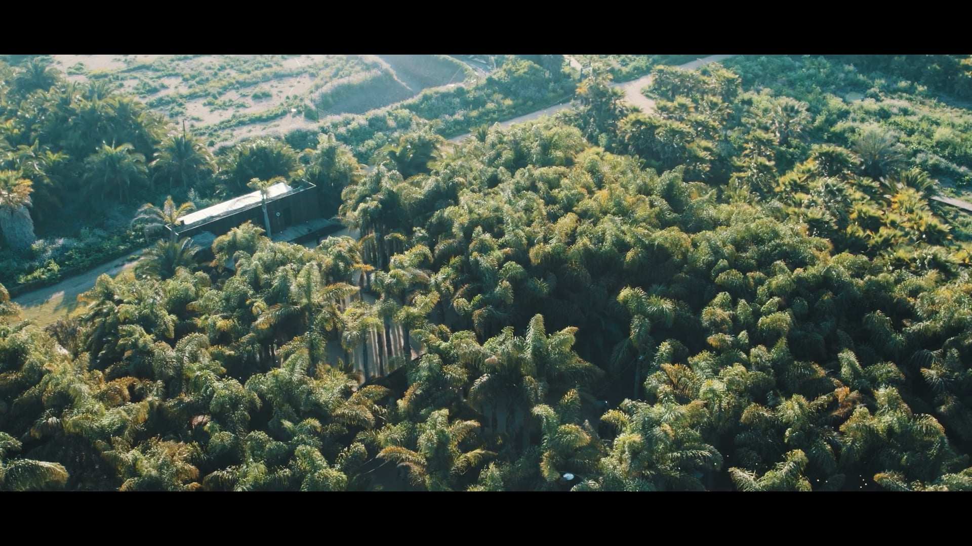 Cinematic Films