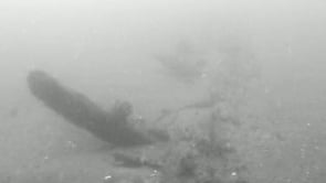 Hull section of the Jennie R. Dubois